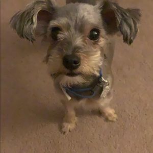 Meet your Posher, Michael